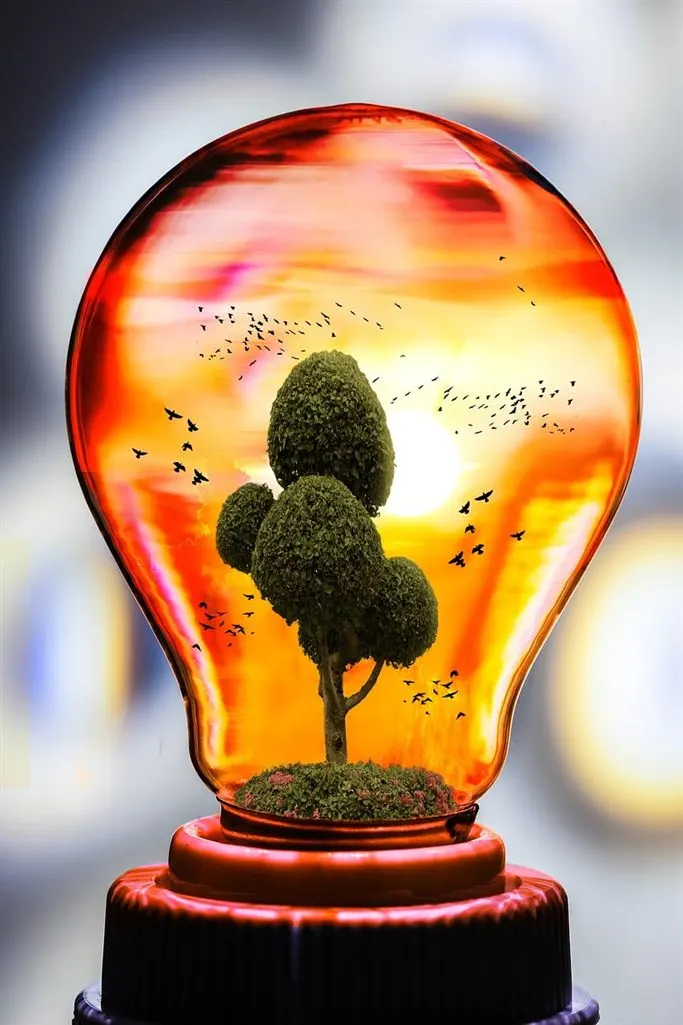 Light bulb with a tree inside, a symbol of sustainable design